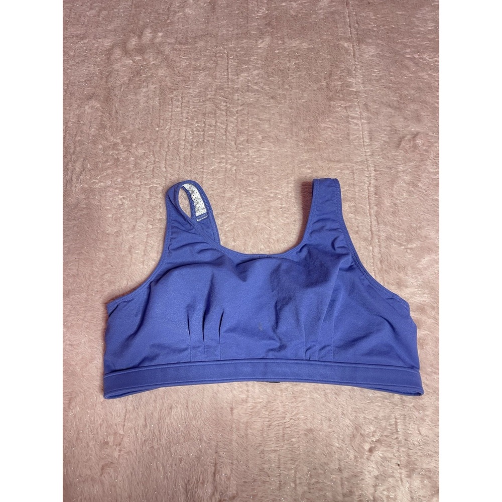 Patagonia Capilene Sports Bra Women's Size 38/40CD Blue